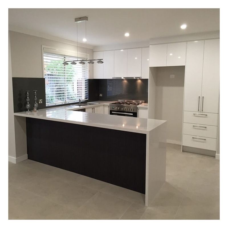 Custom Modular Kitchen Cabinets with Glossy Paint-Free Design and Shaker Door Panel
