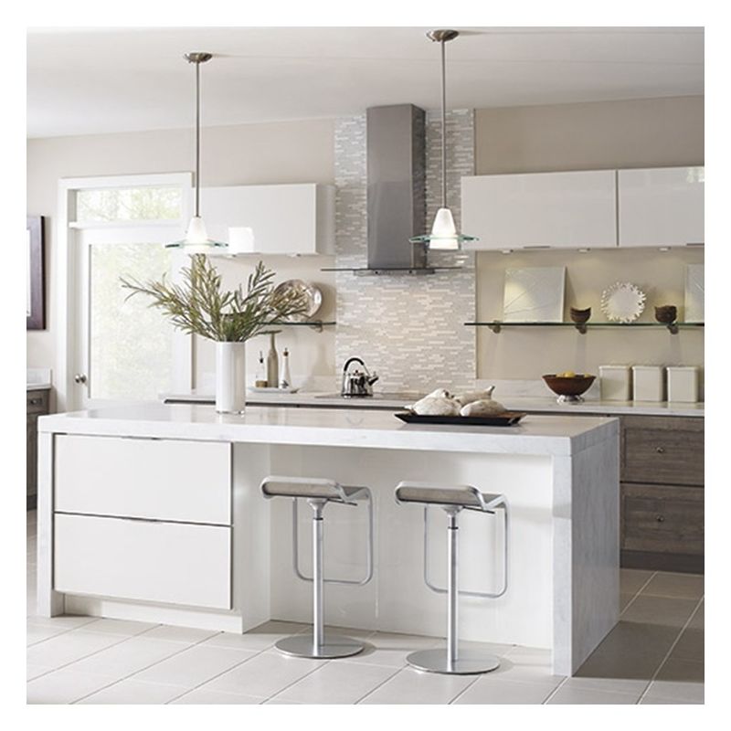 Custom Modular Kitchen Cabinets with Glossy Paint-Free Design and Shaker Door Panel