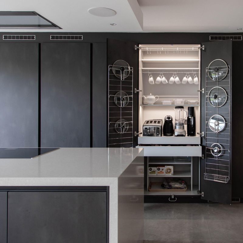 Blum Hardware Custom Veneer Color Kitchen Cabinets with Islands and 3D Model Design