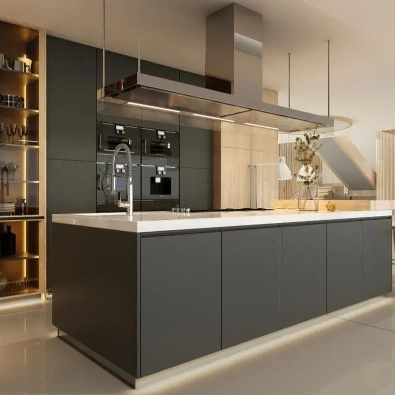 Blum Hardware Kitchen Island Pantry Cupboard with Solid Wood Door Panel in Black Design
