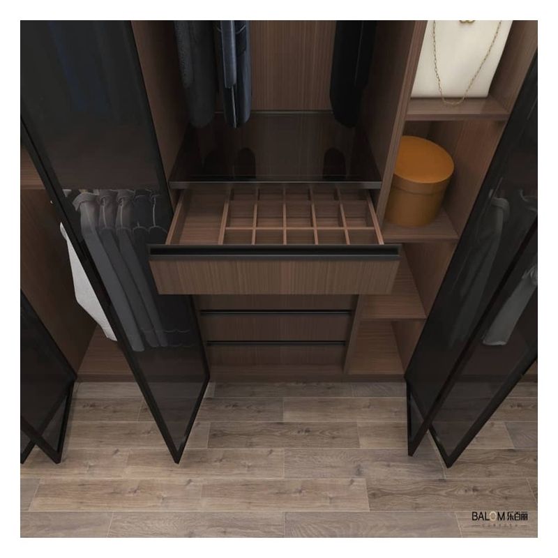 Stylish Walk-in Closets Lighting Design Black Glass Door Panel with Foldable Panels